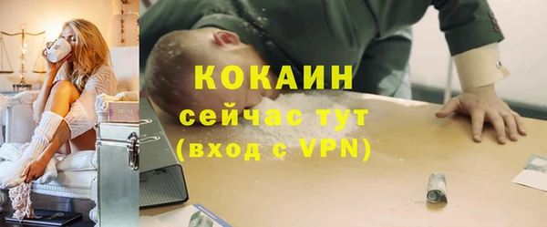 винт Верея