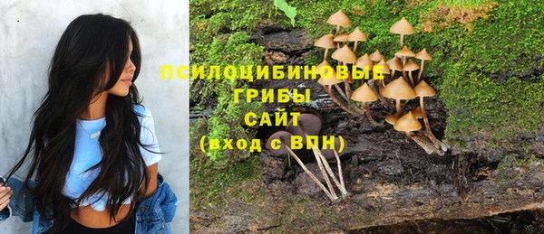 винт Верея