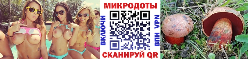 Псилоцибиновые грибы мицелий  Купить закладки  Магадан 