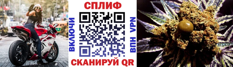 Купить где  Магадан  Марихуана план 
